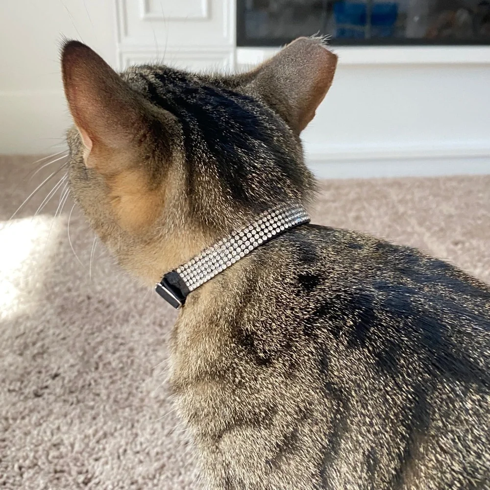 Glam‎ Cat Collar Silver Bling Rhinestone Crystals Pull On Style Adjustable